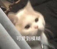 -汉堡王(房山绿地缤纷城店)