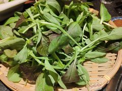 -大匠工房古船木艺术餐厅·猪肚鸡专门店(长白仙岛店)