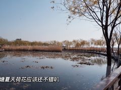 -绿堤公园