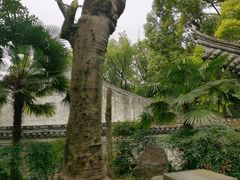 -天一阁博物院