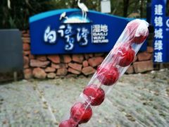 门面-白鹭湾湿地公园