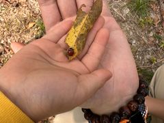 -昆山城市生态森林公园