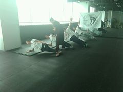 -IKMF马伽术KRAV MAGA以色列防身术