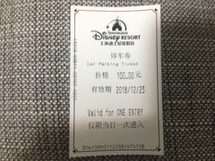 -迪士尼乐园停车场