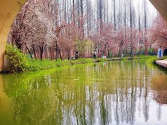 -洛阳市隋唐城遗址植物园