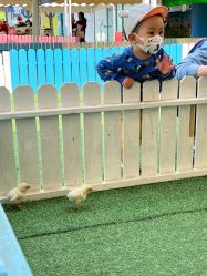 -萌宠亲子动物乐园(槐房万达店)