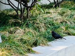 -明故宫遗址公园