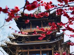 -杭州半山国家森林公园