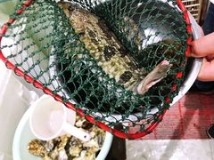 -胖子饺子馆·海鲜家常菜(海军博物馆店)