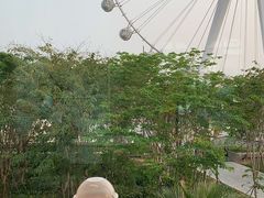葡挞-肯德基(欢乐港湾店)