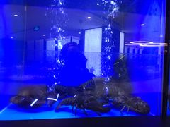 -新加坡珍宝海鲜JUMBO Seafood(西安skp店)