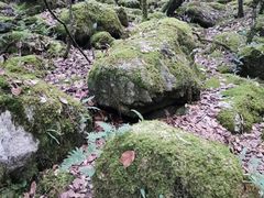 -冕宁灵山寺