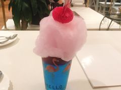 一半海水一半火焰-随心小姐