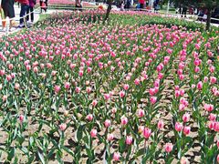 -长春公园(普阳街道)