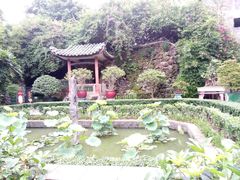 -东莞市可园博物馆