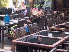 -Big Bamboo 大竹子体育主题餐厅(虹梅路店)