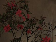 -陶享时光西餐·下午茶(信河街店)