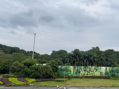 -深圳野生动物园