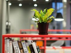 -dotcom coffee古点咖啡(致真大厦店)