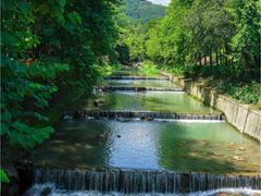 -广州白江湖森林公园