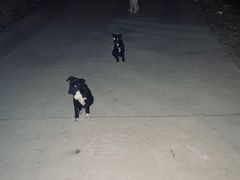 -鬼笑石后山停车场