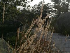 -崂山巨峰游览区