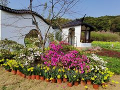 -苏州上方山国家森林公园