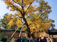 -无锡惠山寺