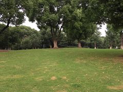 -花溪公园