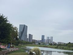 -桂溪生态公园