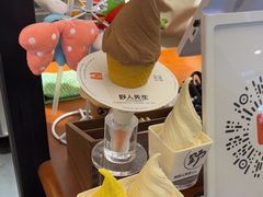 -野人先生Gelato(上海长宁龙之梦店)