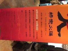 杨家火锅(青年路国美第一城店)-杨家火锅(国美店)