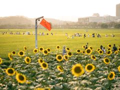 -光明小镇欢乐田园