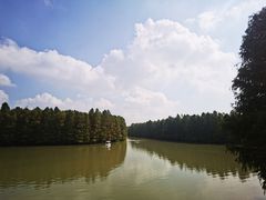 -上海海湾国家森林公园