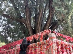 -四门塔风景区