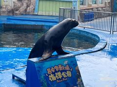 -华夏文旅海洋公园