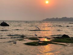 -老虎石海上公园