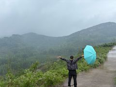-岱崮地貌旅游区