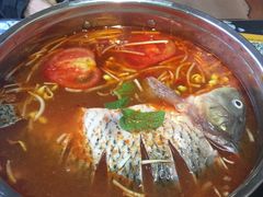 -弘烨 贵州酸汤 鱼火锅(东财店)