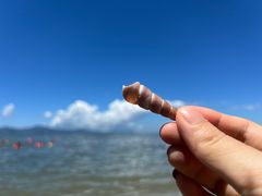 -海角城白海豚浪漫海滩