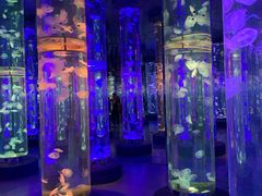 -梦幻海洋王国(吾悦广场张家港店)
