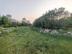 -莲花池公园