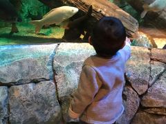 -沈阳海洋探索中心