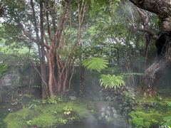 -Chom Cafe and Restaurant