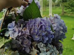 -杭州六谷生态休闲农庄有限公司