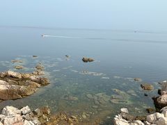 -养马岛旅游度假区