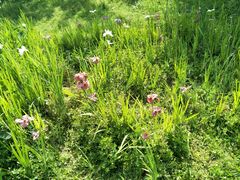 -艾溪湖湿地公园