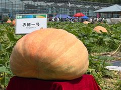 -长春农业博览园