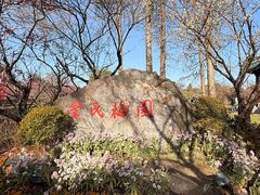 -无锡梅园公园