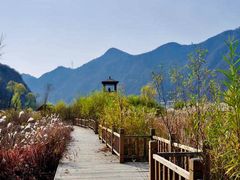 -白河湾生态旅游一条川